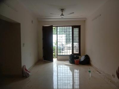 Living Room Image of 1500 Sq.ft 2 BHK Apartment / Flat for rent in DDA Flats Vasant Kunj, Vasant Kunj New Delhi for Rs. 75000