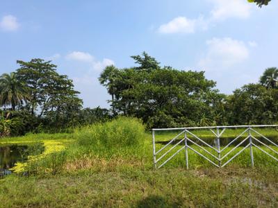 Image of 2880 Sq.ft Residential Plot / Land for sale in Natures Paradise, Joka, Kolkata for Rs. 699989