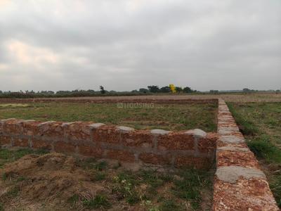 Ashok Nagar Plot View 1