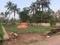 South Chittoor Plot View 2