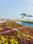 Ongole Plot View 2