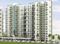 Rohan Silver Palm Grove Main Image 1
