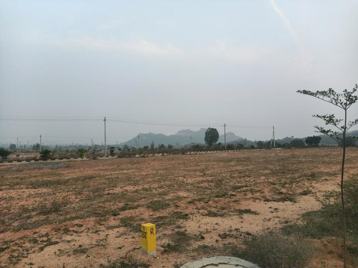 Fortune Smart 5 Main Image 1