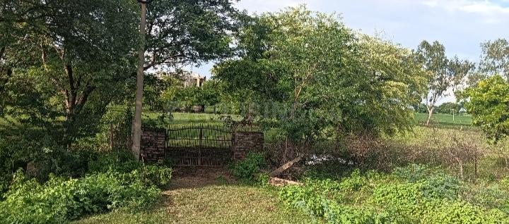 Electricity Board Area, Kunhari Main Image 1