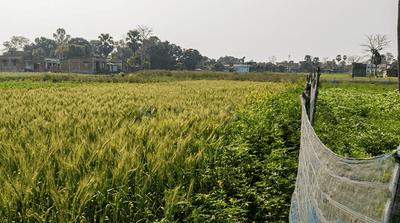 Image of 12250 Sq.ft Residential Plot / Land for sale in Bakhtiarpur, Patna for Rs. 5400000