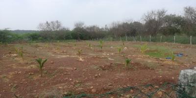 Image of 9600 Sq.ft Residential Plot / Land for sale in Thiruvallur, Chennai for Rs. 13400000