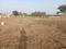 Shree Siddhivinayak Meera Plot View 2