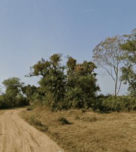 Agricultural Land