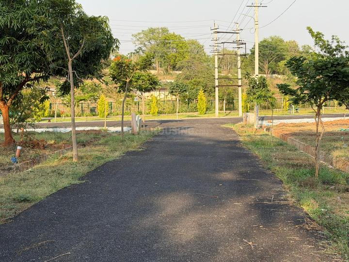 Yelwala Main Image 1