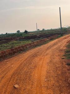 Patrapoda Plot View 2
