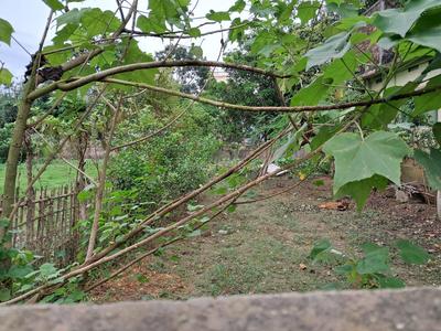 Balcony Image of 2376 Sq.ft 5 BHK Independent House for sale in Bardowali Agartala for Rs. 13500000
