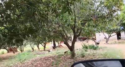 Image of 140000 Sq.ft Residential Plot / Land for sale in Santhapet, Chittoor for Rs. 87500000