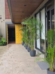 Image of 1000 Sq.ft Residential Plot / Land for sale in Sejbahar, Raipur for Rs. 3000000