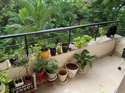 Balcony Image of 600 Sq.ft 1.5 BHK Independent House for rent in Ashok Nagar Pune for Rs. 30000