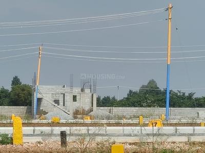 Banthra Sikander Pur Plot View 1