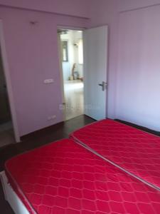 Bedroom Image of 1250 Sq.ft 3 BHK Apartment / Flat for rent in Jaypee Kosmos, Sector 134 Noida for Rs. 37000
