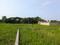 Sonargaon 2 Plot View 2