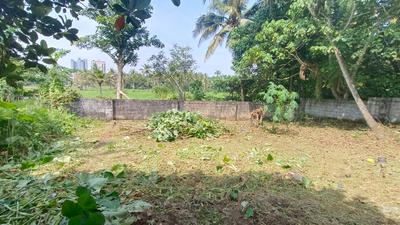 Image of 1750 Sq.ft Residential Plot / Land for sale in Kakkanad, Kochi for Rs. 950000