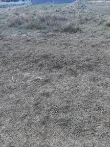 Image of 1156 Sq.ft Residential Plot / Land for sale in Perumbakkam, Chennai for Rs. 9271000