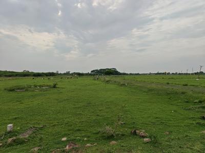 Image of 884 Sq.ft Residential Plot / Land for sale in Chengalpattu, Chennai for Rs. 1325111