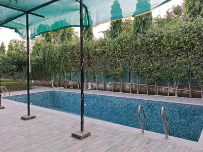 Swimming Pool Image of 12000 Sq.ft 6 BHK Villa for sale in Dkrrish Alaska Farms, Nagli Bahrampur Noida for Rs. 12500000