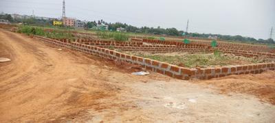 Patrapada Plot View 2