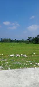 Image of 1800 Sq.ft Residential Plot / Land for sale in Herbertpur, Dehradun for Rs. 1700000
