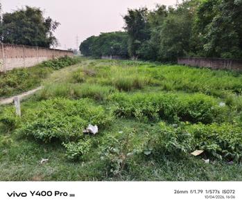 Image of 10476 Sq.ft Residential Plot / Land for sale in Maranga, Purnea for Rs. 1551000