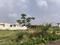 YEIDA Yamunotri Houses Main Image 1