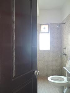 Common Bathroom Image of 924 Sq.ft 2 BHK Apartment / Flat for rent in Paras Tierea, Sector 137 Noida for Rs. 25000