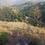 Bajoral Khurd Main Image 1