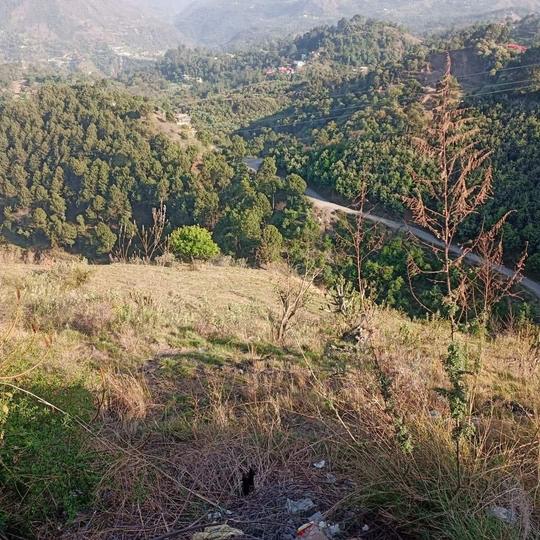 Bajoral Khurd Main Image 1