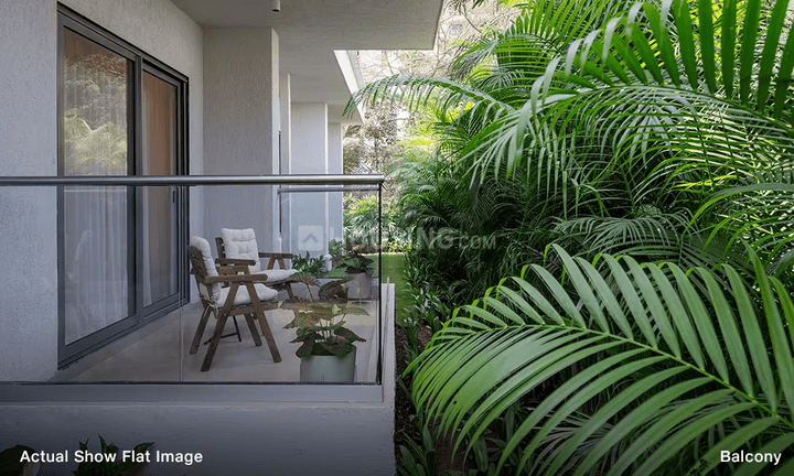 Rivali Park Stargaze Main Image 1