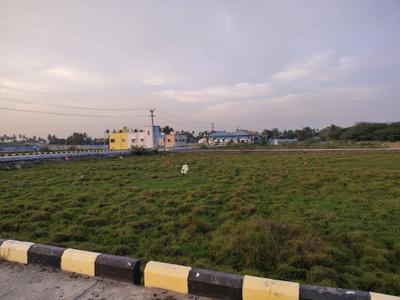 Residential Plot