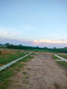 Residential Plot