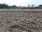 Castilo dream city Main Image 1