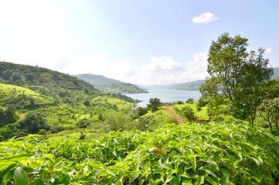 Panshet Dam Varasgaon Dam Village Tave Pune Plot View 3