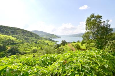 Image of 40000 Sq.ft Residential Plot / Land for sale in Varasgaon, Pune for Rs. 13000000