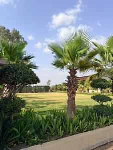 Image of 600 Sq.ft Residential Plot / Land for sale in Subhraj Pranam Park B, Magar Kheda, Indore for Rs. 2220000