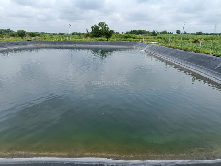 99000 Sqft Agricultural Land for Sale in Shirur, Pune Property ID