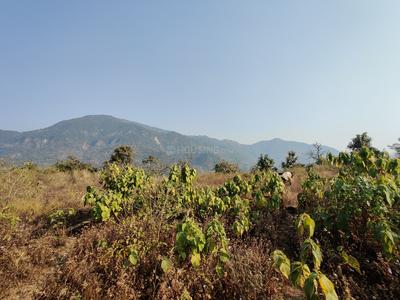 Residential Plot