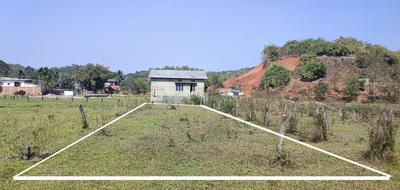 Narengi Tinali Plot View 2