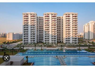 Image of 2800 Sq.ft 3 BHK Apartment / Flat for sale in TARC Maceo, Sector 91, Gurgaon for Rs. 19800000
