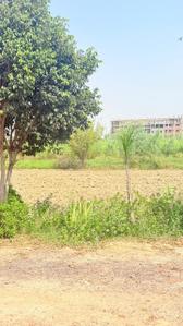 Image of 450 Sq.ft Residential Plot / Land for sale in Chhata, Mathura for Rs. 750000