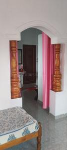 Hall Image of 800 Sq.ft 1 BHK Builder Floor for rent in Navule Shivamogga for Rs. 14000