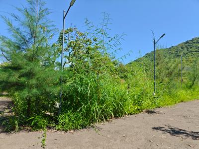 Image of 2723 Sq.ft Residential Plot / Land for sale in Shrivardhan, Raigad for Rs. 220000