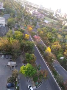 Balcony Image of 1330 Sq.ft 2.5 BHK Apartment / Flat for sale in MSX Group Alpha Homes, Alpha I Greater Noida for Rs. 8000000