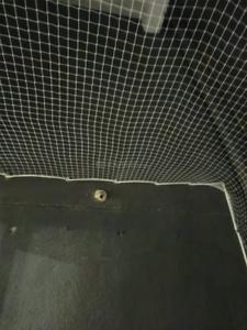 Bathroom Image of 500 Sq.ft 1 BHK Apartment / Flat for rent in Tanish Orchid, Charholi Budruk Pune for Rs. 20000