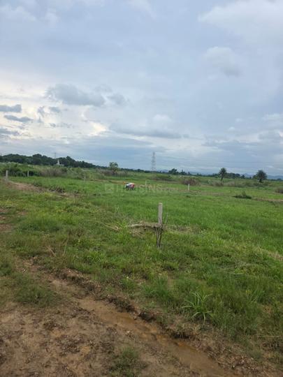 Rakhamins Main Image 1