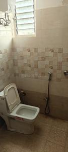 Bathroom Image of 800 Sq.ft 3 BHK Apartment / Flat for rent in Jagatpura Jaipur for Rs. 24000